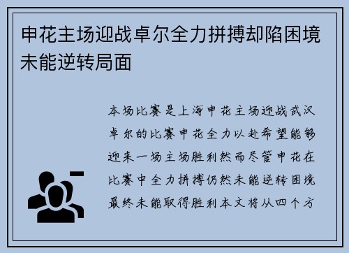 申花主场迎战卓尔全力拼搏却陷困境未能逆转局面