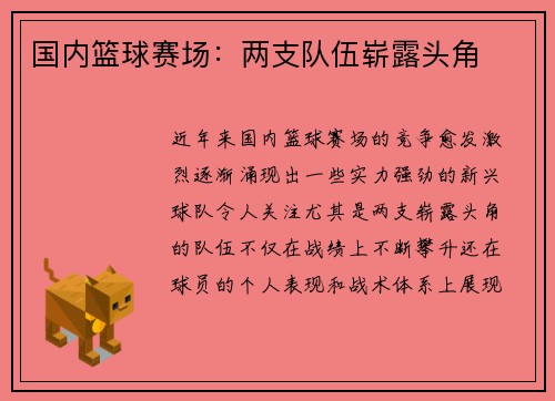 国内篮球赛场:两支队伍崭露头角